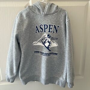 Aspen Brooks Brothers Gray Hoodie